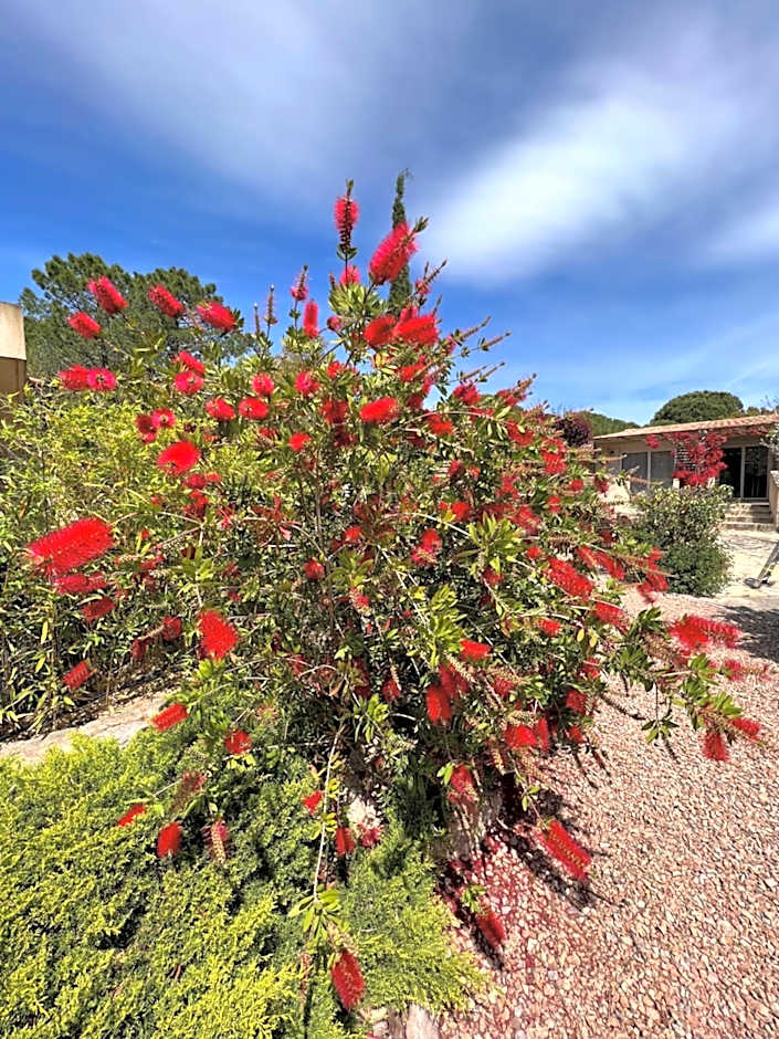 Hôtel les jardins de Sta Giulia avec piscine