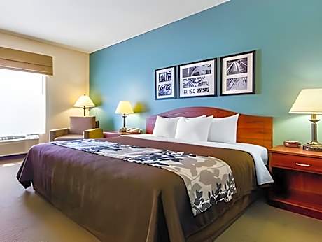 King Suite - Accessible/Non-Smoking