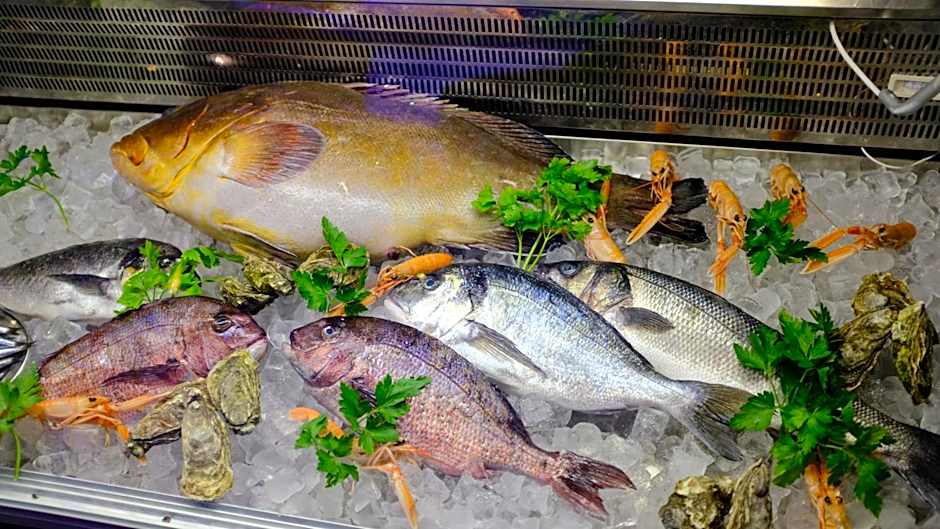 HOTEL MERCURIO SUL MARE - Fish restaurant and private beach