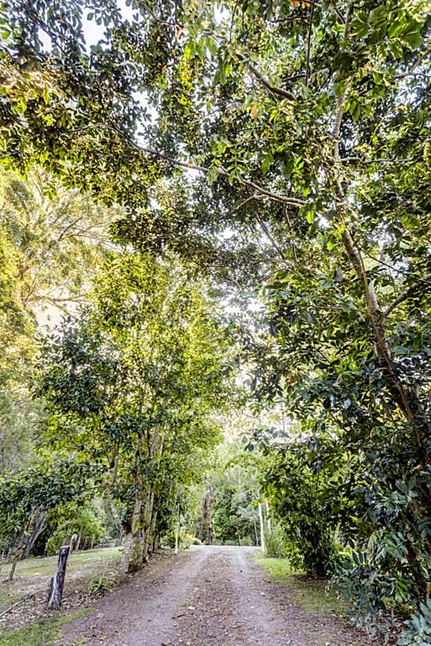 Alaya Verde Bed & Breakfast