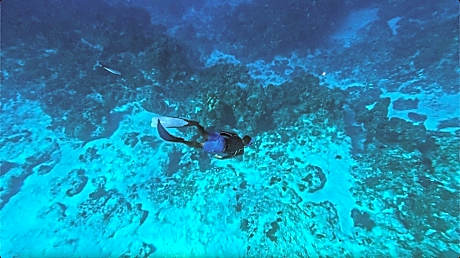 The Explorean Cozumel All Inclusive