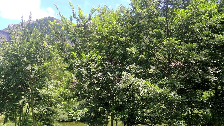 Moulin de Parayre