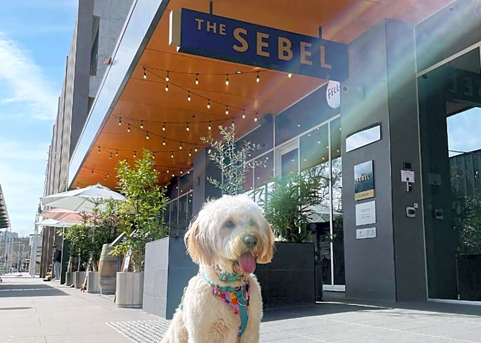 THE SEBEL CANBERRA CIVIC