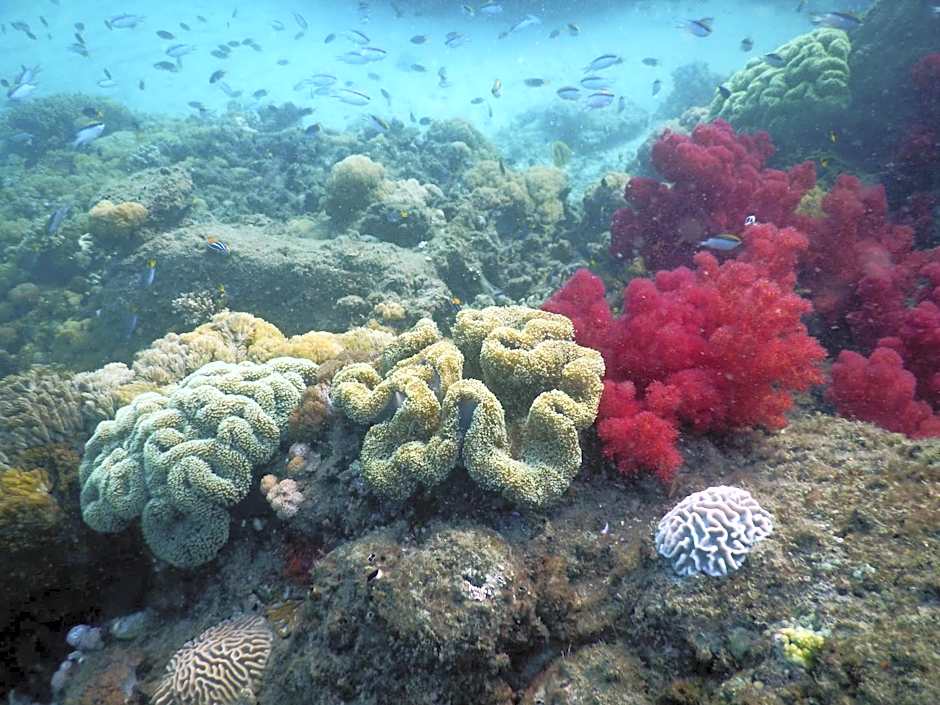 Great Keppel Island Holiday Village