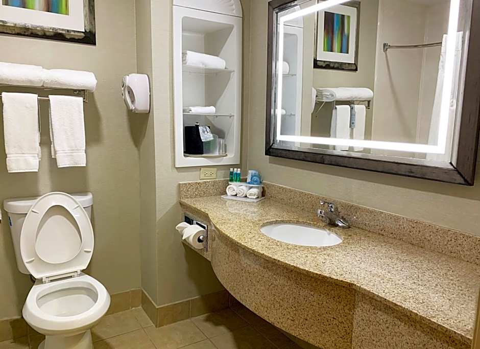 Holiday Inn Express Hotel & Suites Gainesville By IHG
