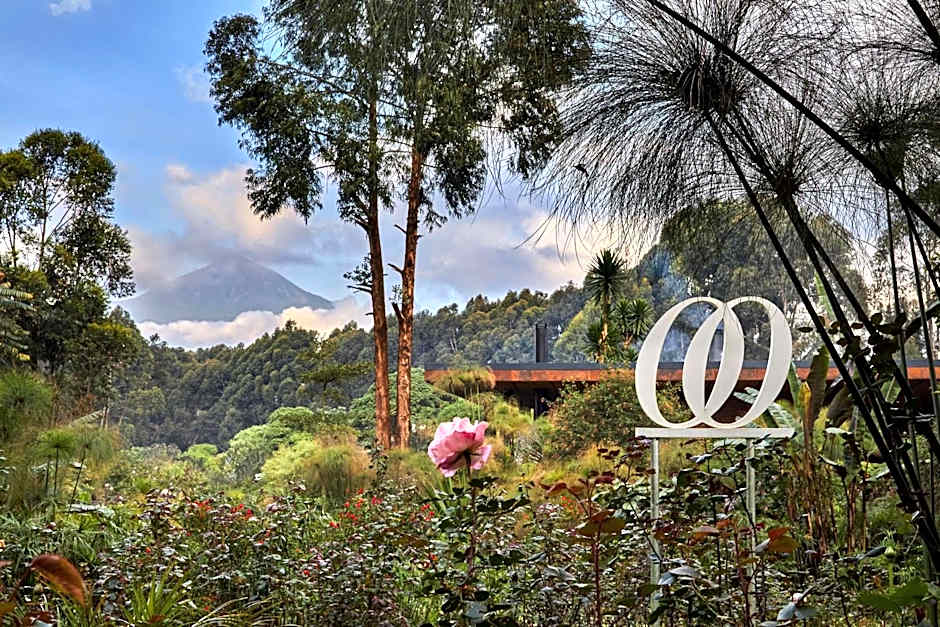 One&Only Gorilla's Nest