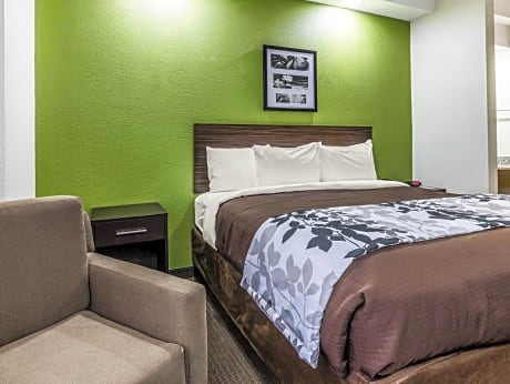 1 King Bed Non-Smoking