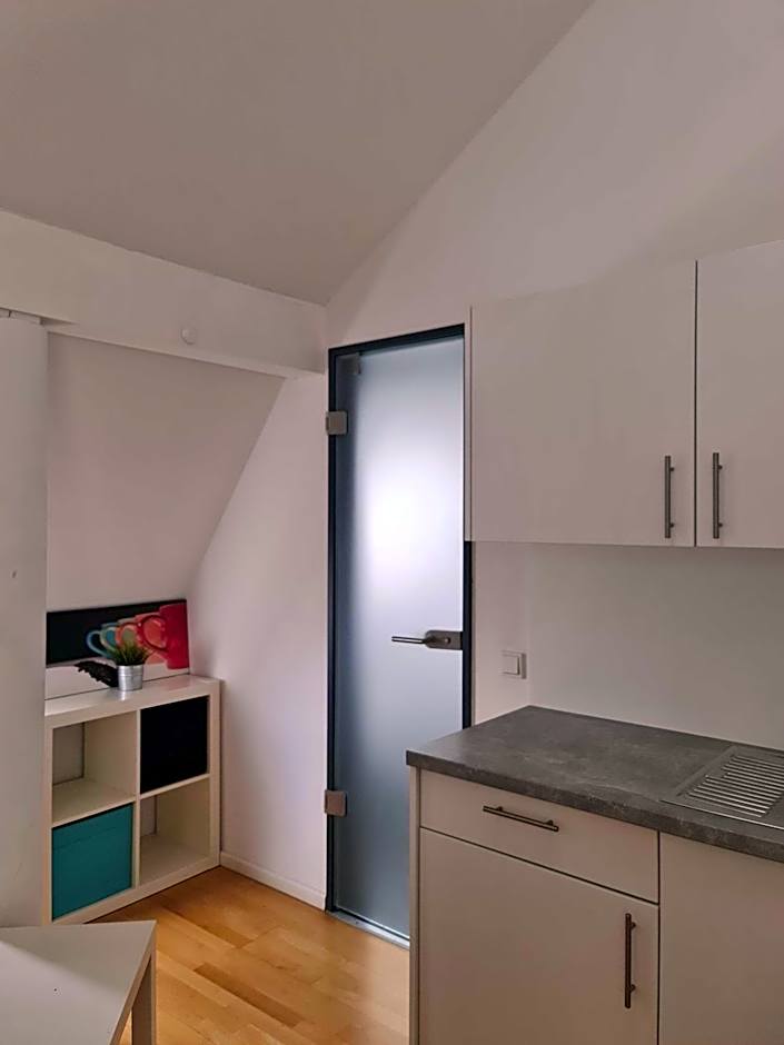 Simplex Apartments Am Ludwigsplatz
