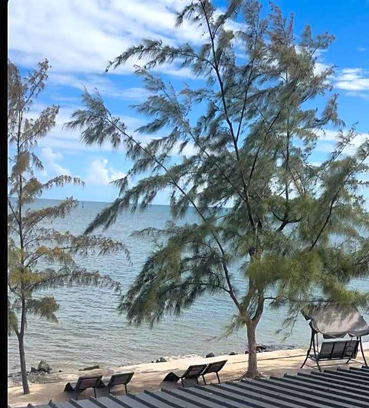 Bon Vivant Front de Mer - Ile Rodrigues