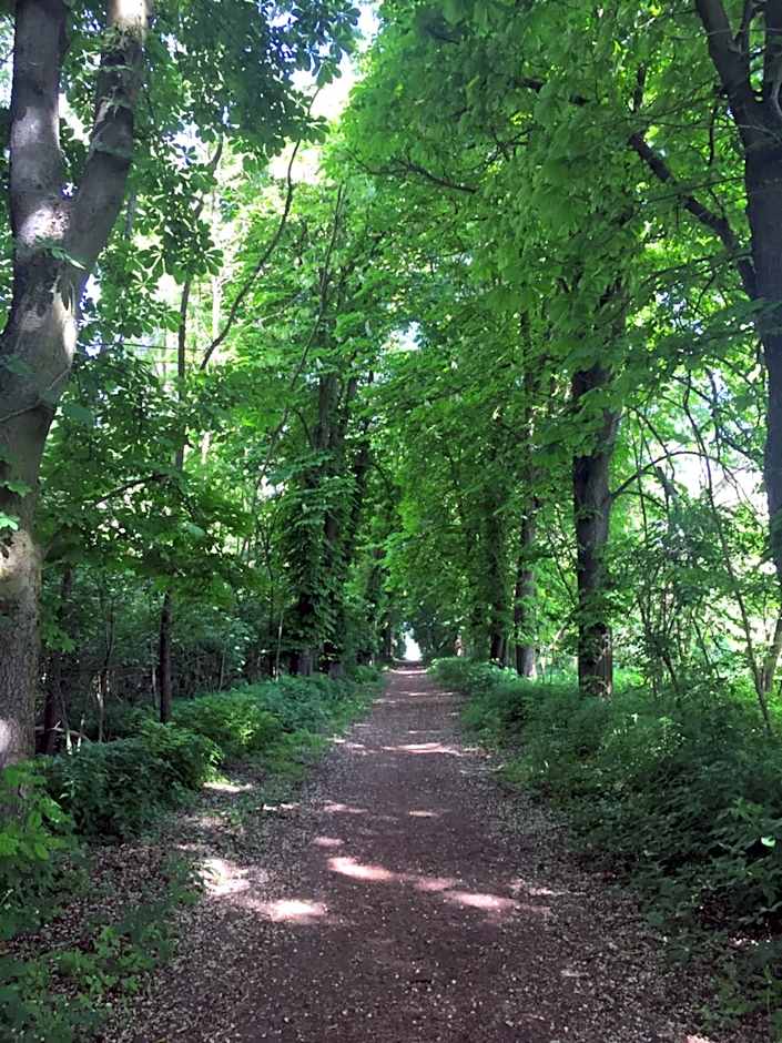 Hotel Ponteo - Activity Park