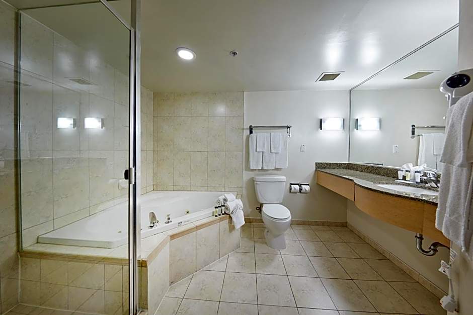 The Falls Hotel & Inn