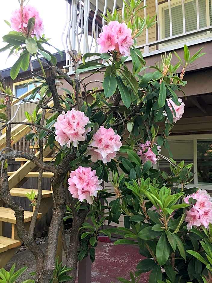 Orchid House near Vancouver YVR Airport