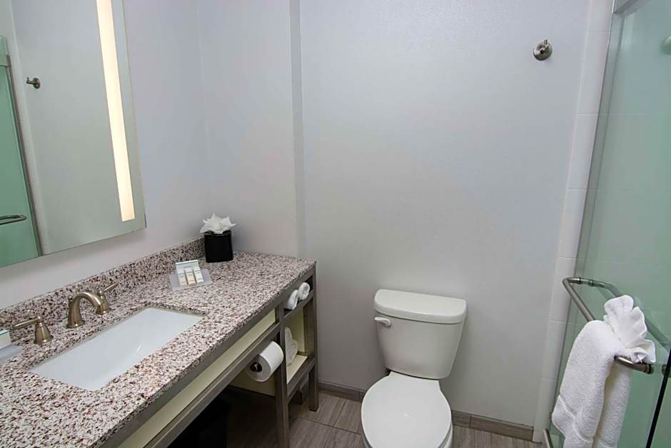 Hilton Garden Inn Tampa Suncoast Parkway