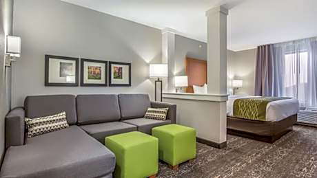 King Suite with Sofa Bed - Non-Smoking