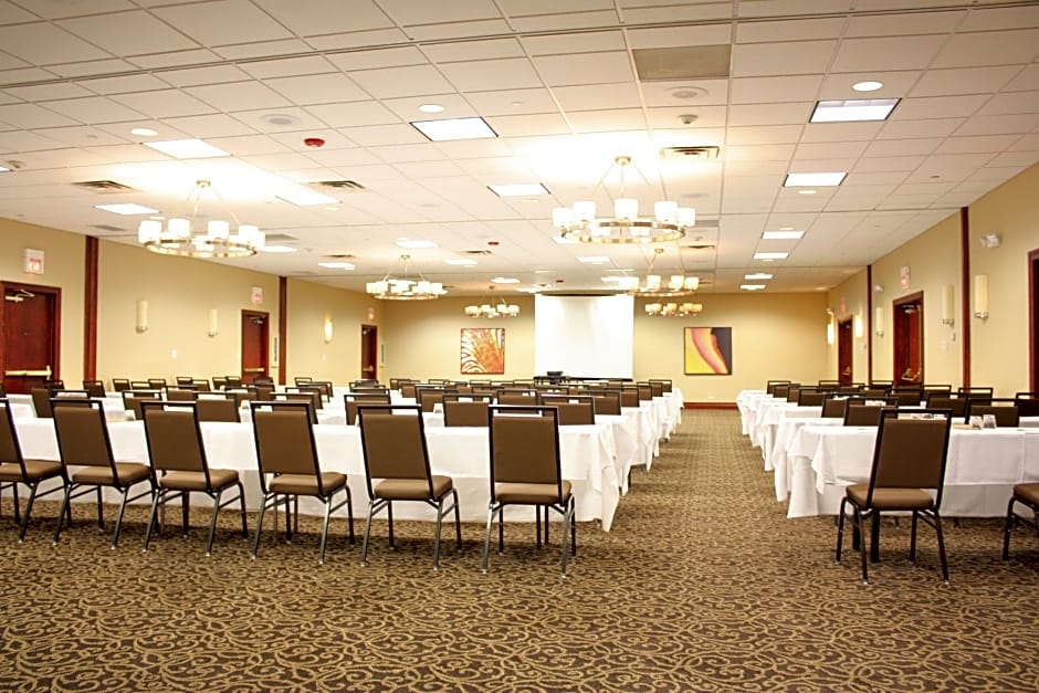 Holiday Inn Chicago West - Itasca