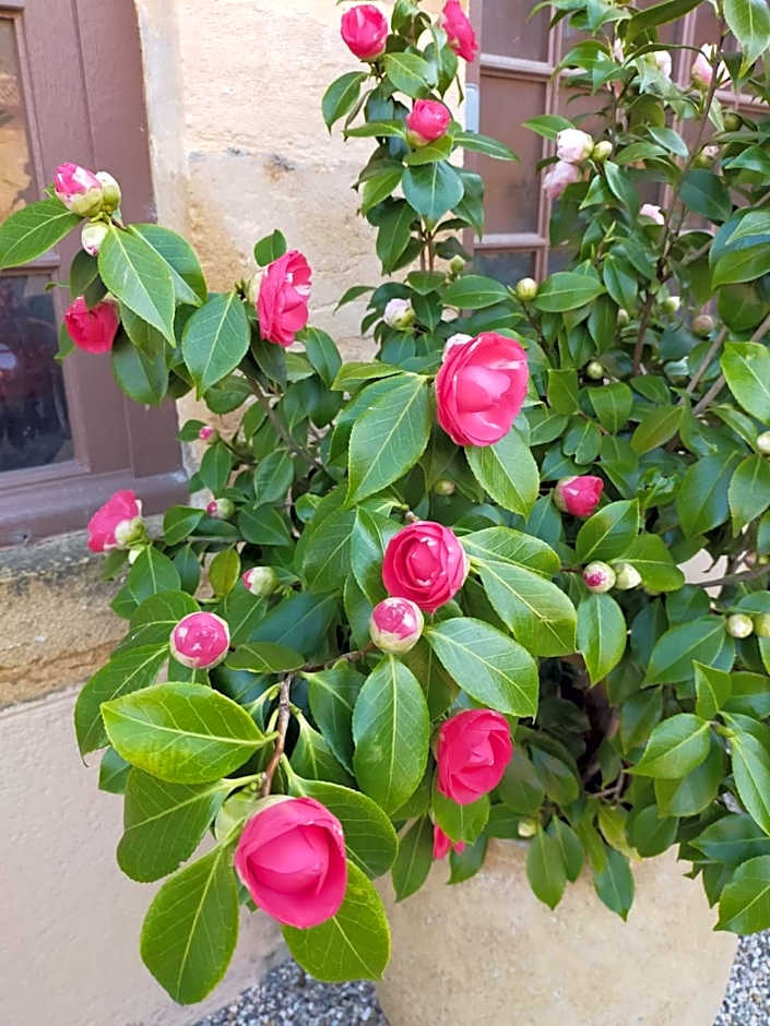 Château de la Venerie