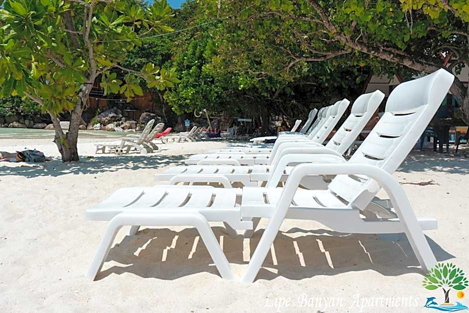 Lipe Banyan Apartments