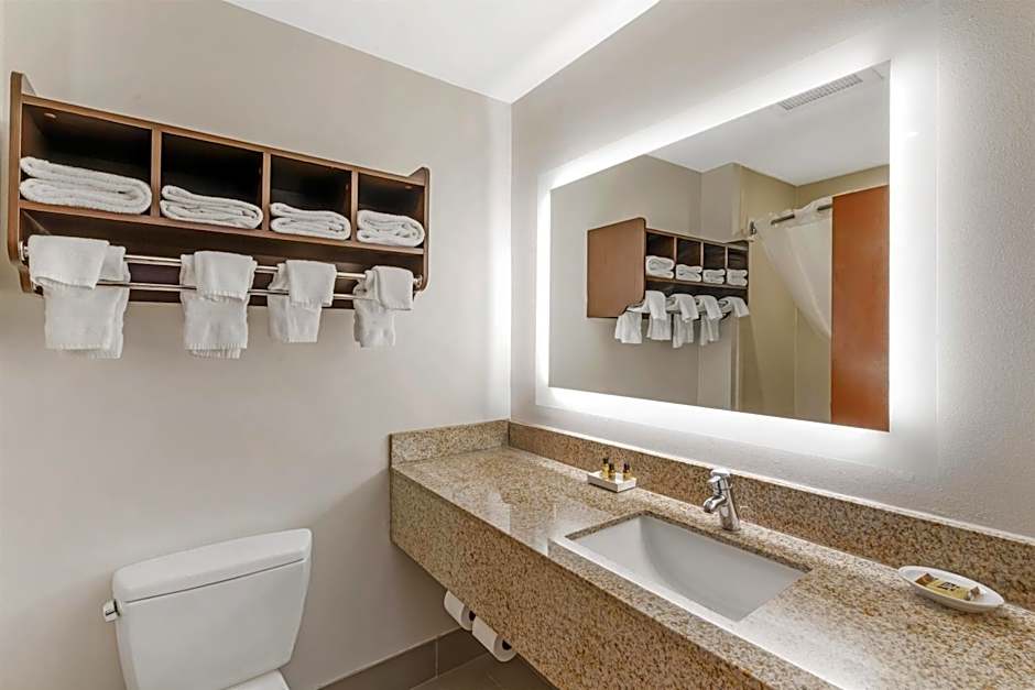 Best Western Plus McDonough Inn & Suites