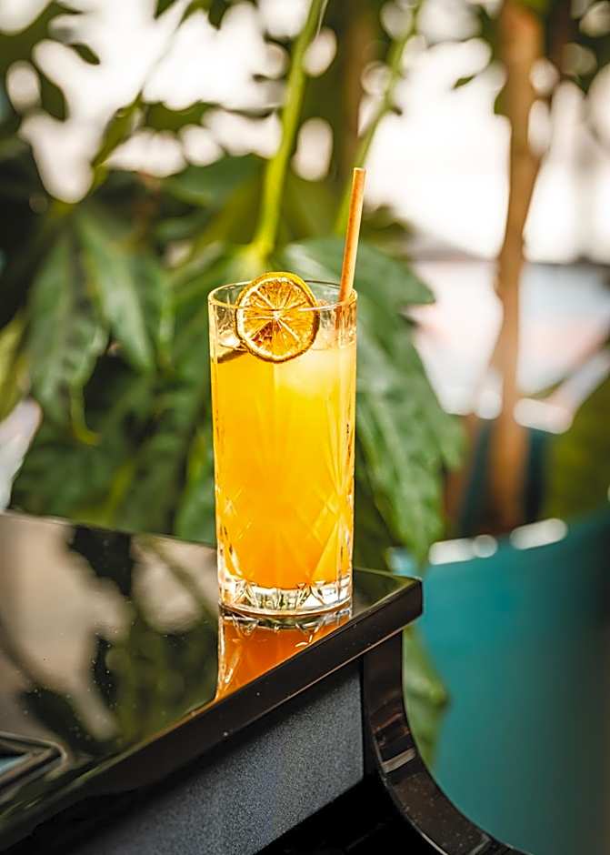 Hotel Le Grand Pavois