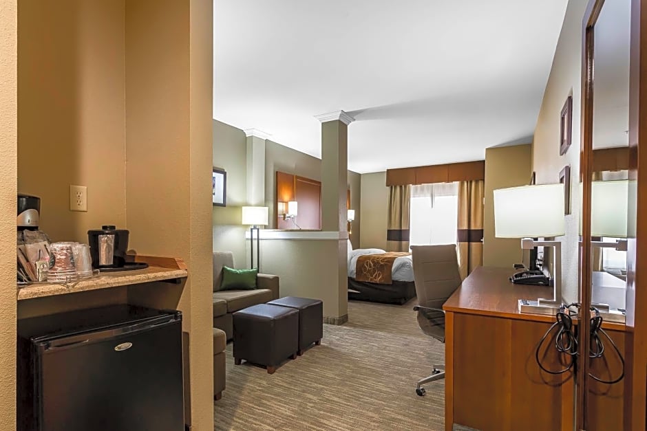Comfort Suites University
