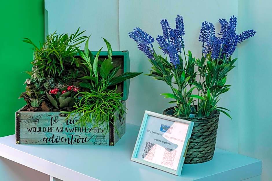 OXYGEN HOSTEL Capsula