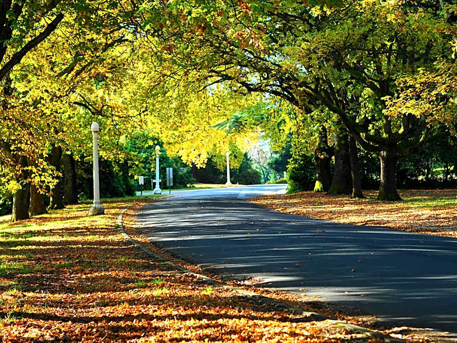 Linaker Art Deco Motel