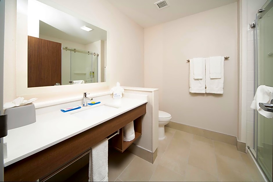 Holiday Inn Express and Suites Fort Myers Airport