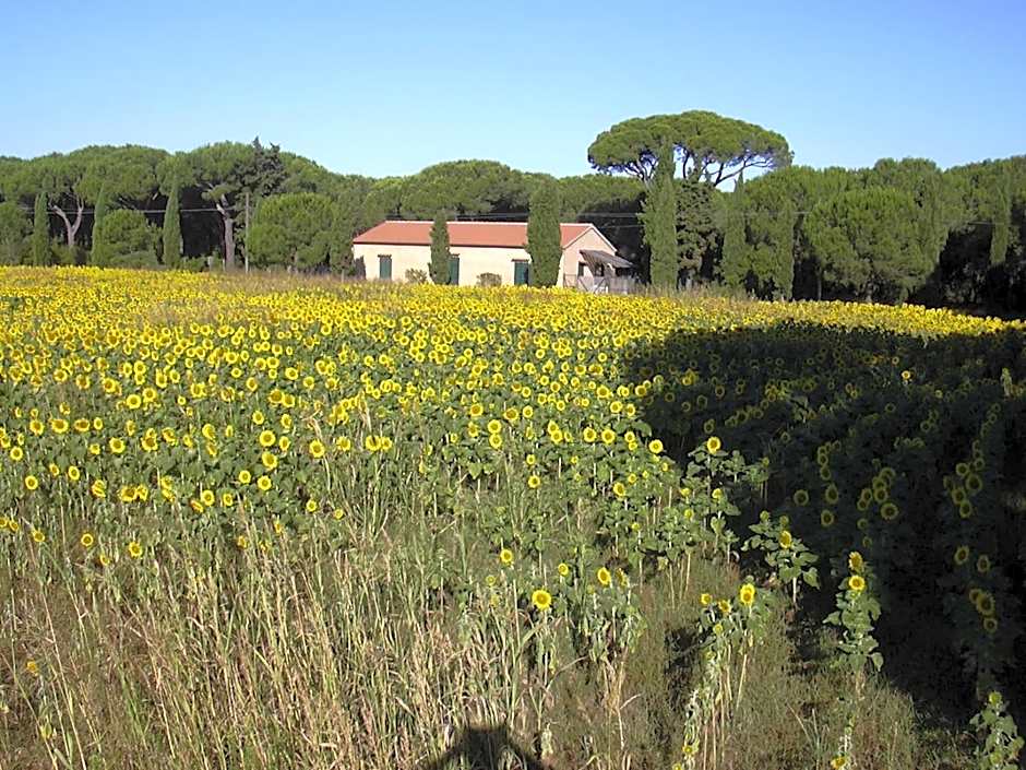 Residence La Canova II