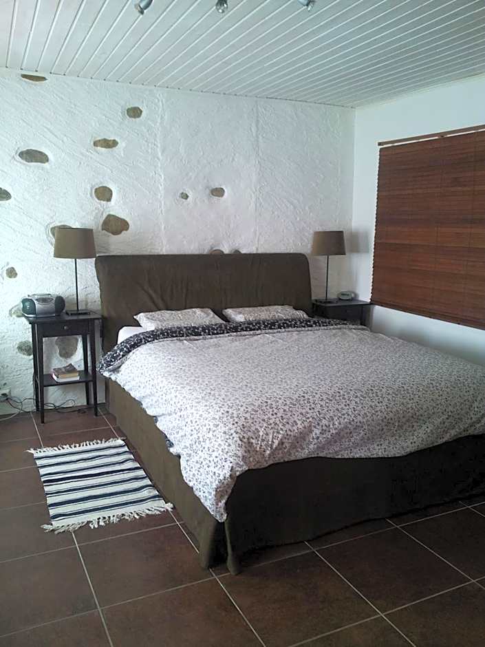 Au cœur du vignoble sur Bursins