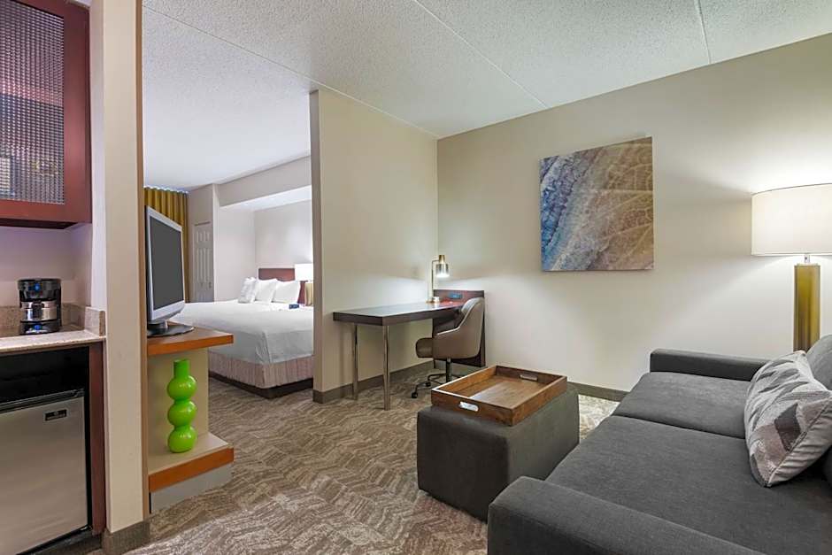 SpringHill Suites by Marriott Cleveland Solon