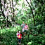 Magoebaskloof Getaway