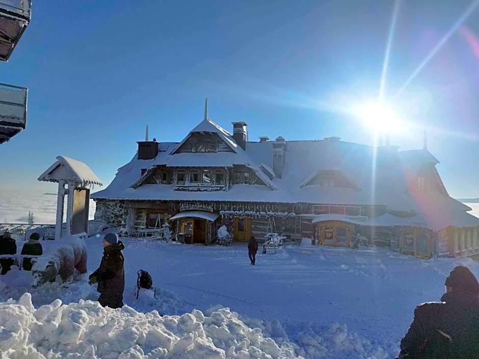 Krynicka Koliba na Jaworzynie Krynickiej