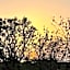 The Postcard Gir Wildlife Sanctuary