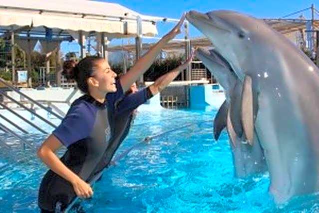 Apartamento Minerva Jupiter. The perfect accommodation for your vacation