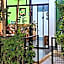 Green Turtle Backpackers Guesthouse, Puerto Princesa