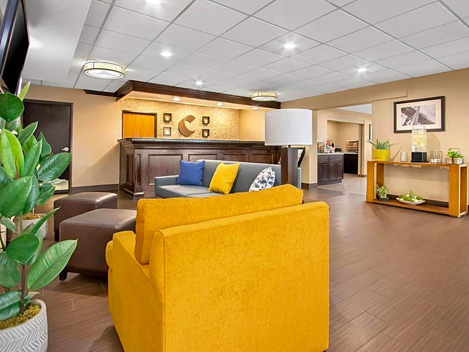 Comfort Inn Detroit Downtown