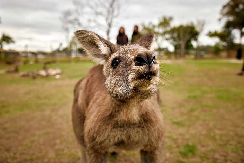 The Island Accommodation