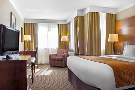 1 King Bed, Suite, Nonsmoking, Accessible