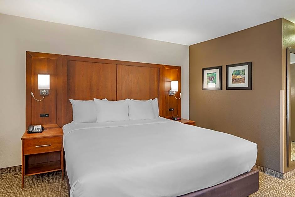 Comfort Inn Petersburg Fort Lee Area