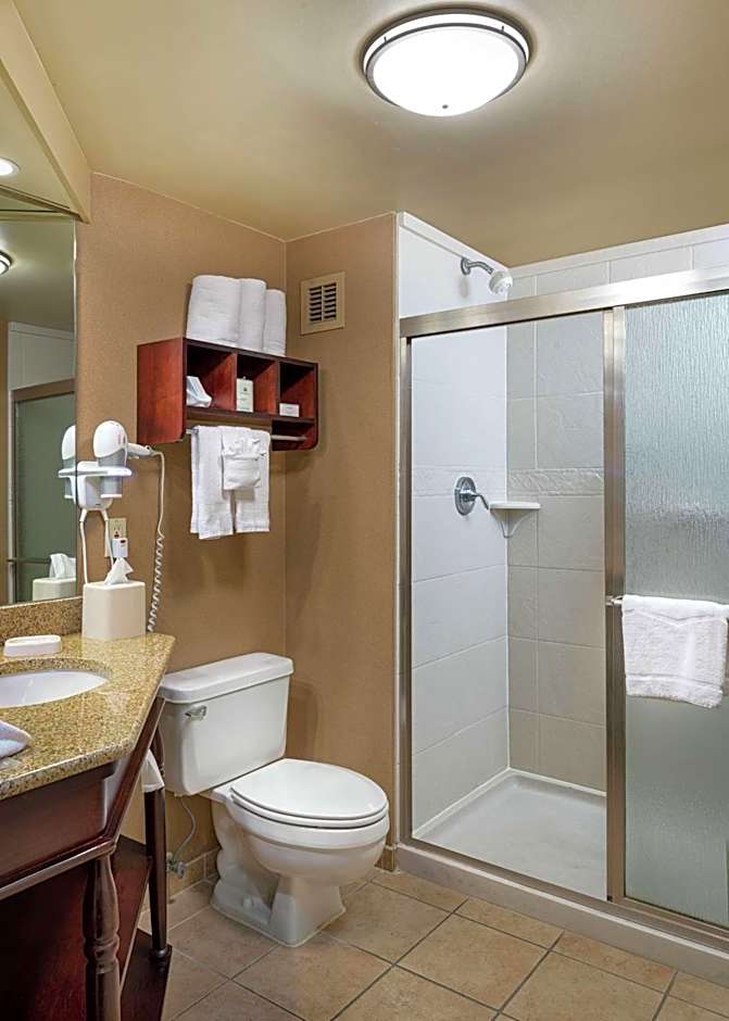 Hampton Inn By Hilton Tuscaloosa-University