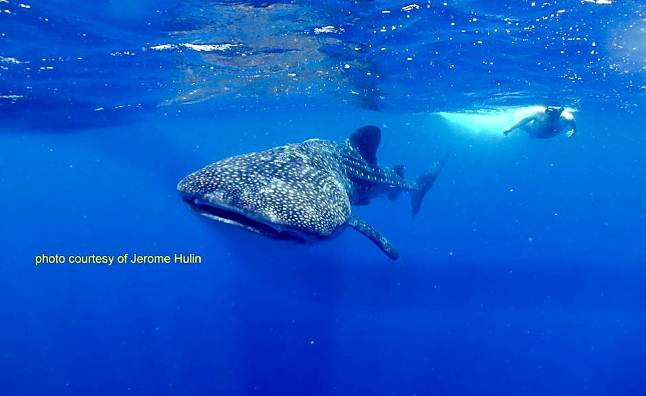 Paseo Del Mar Seaside Inn