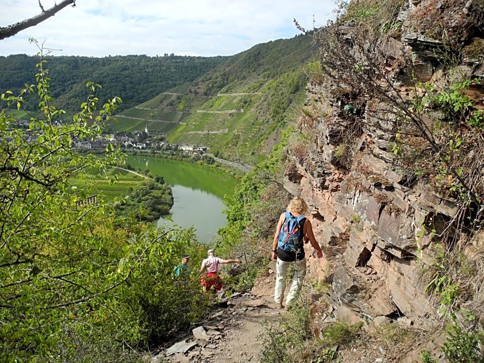 Weingut Pension Hammes-Krüger