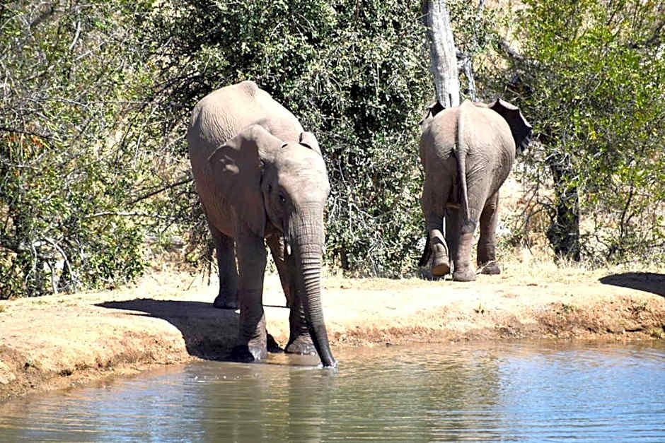 MILIMA Big 5 Safari Lodge