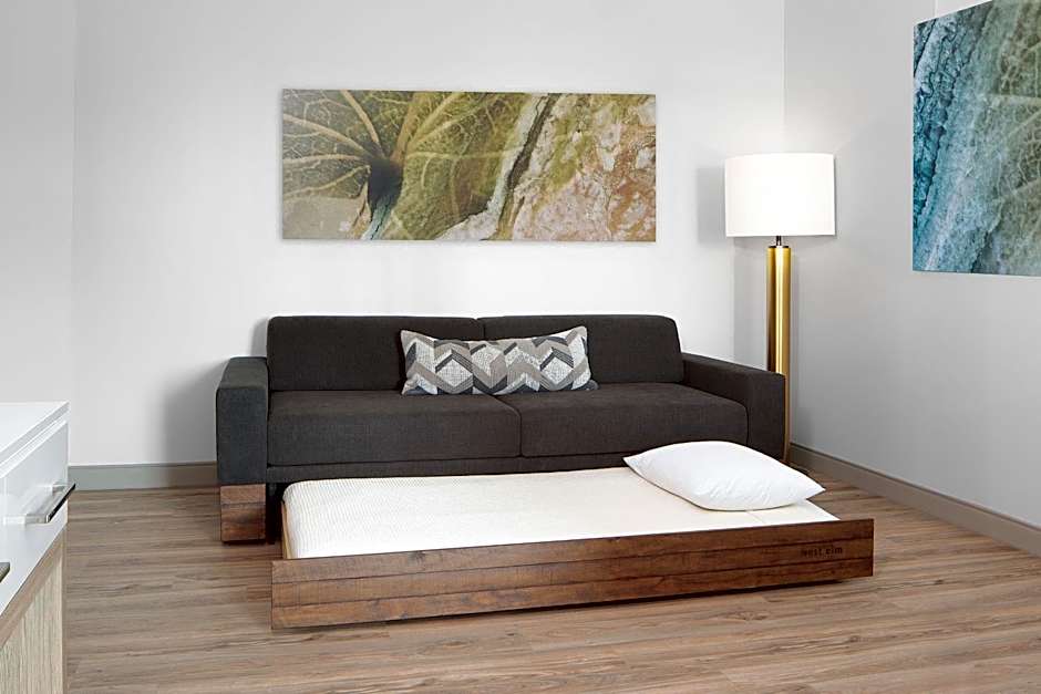 SpringHill Suites by Marriott Roanoke North