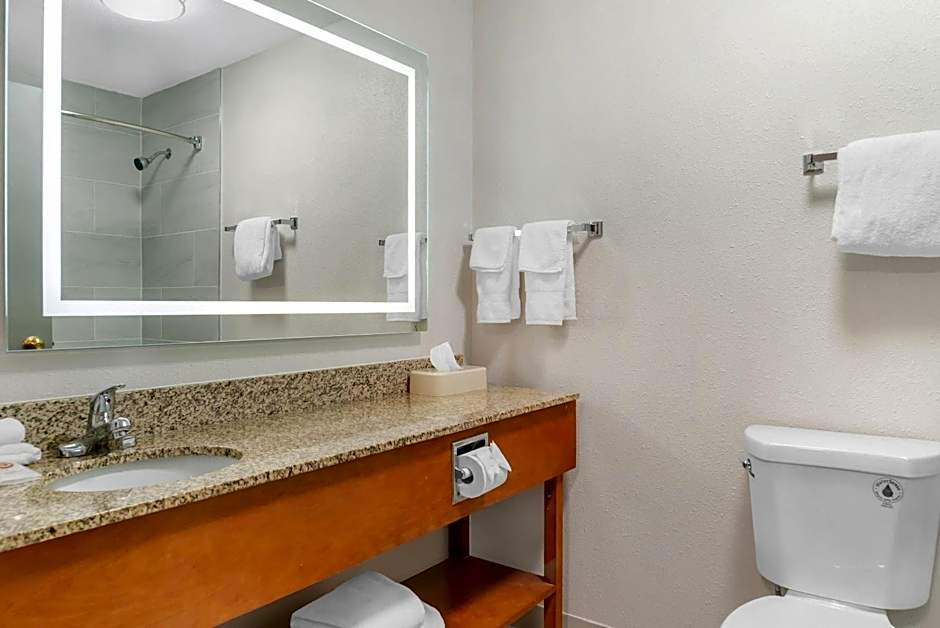 Comfort Suites Auburn Hills-Detroit