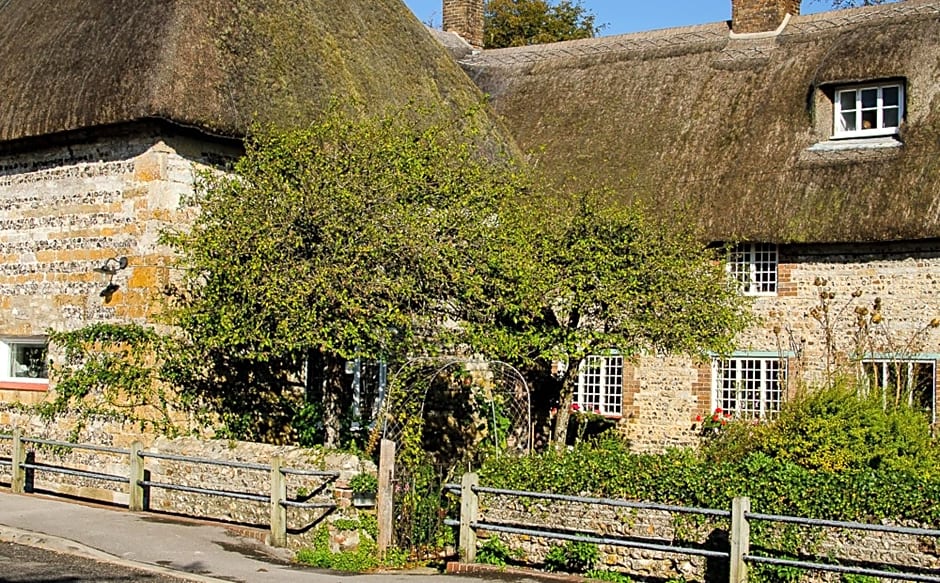 Tudor Cottage B&B Frampton