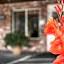 Best Western Vista Manor Lodge