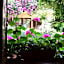 Hotel Restaurant A L'Etoile