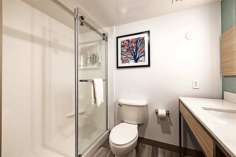 Hilton Garden Inn Albany