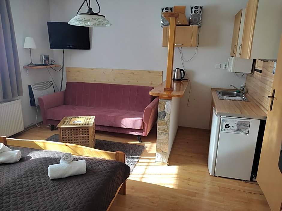 Spa & Pool Apartments Prestige VILLA IVICA